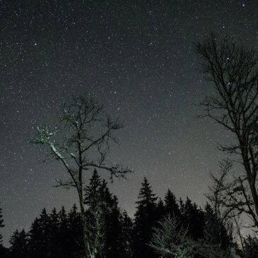 Delizie celesti: Il cielo notturno di febbraio offre una vetrina stellare