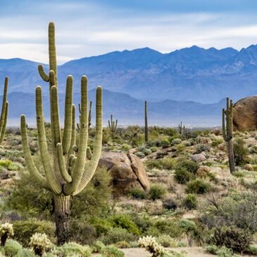 Visto per l’Arizona